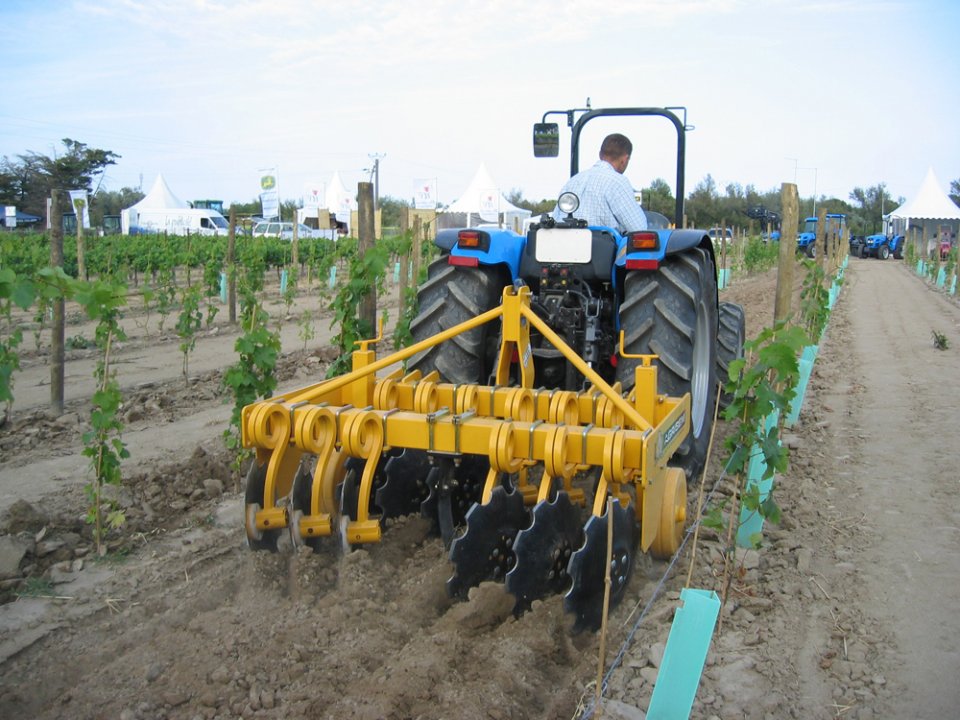 Disc-o-Vigne